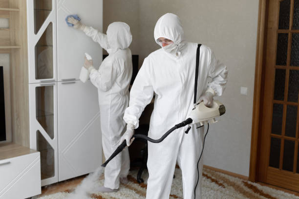 Best Mold Damage Repair  in Sparrow Bush, NY