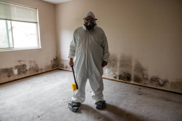 Best Certified Mold Removal  in Sparrow Bush, NY